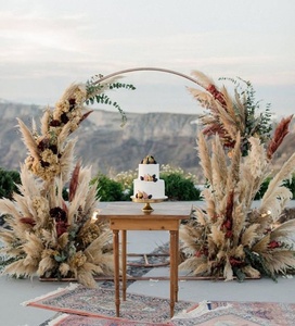 Temi di nozze Boho fai-da-te composizione floreale ad arco sfondo pampa conservato a secco decorazioni floreali grande grande soffice <span class=keywords><strong>erba</strong></span> secca pampa - Product Image 3