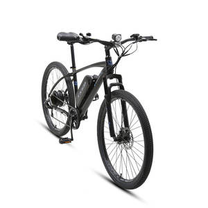 Vélo <span class=keywords><strong>électrique</strong></span> de montagne TEXD populaire 27,5 pouces, 7 vitesses, cadre en acier, Hard Trail 250W, EMTB cool pour hommes - Product Image 3