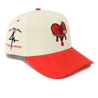 Casquettes personnalisées de marque, prix d'usine, vente en gros, casquette bicolore, tissu en coton, broderie 3D, casquette à fermeture à pression, casquette de baseball