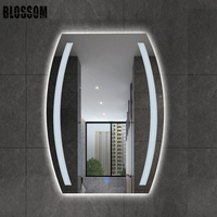 Miroir rétro-éclairé Led forme irrégulière, miroir en verre intelligent pour salle de bains, lumières chaudes