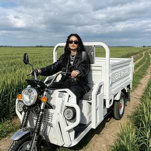 2026 BEIHAI Three Wheeled Supercar Cheap Mini 60V 2000W Scooter 3 Wheel <b>Passenger</b> Tricycles for Adults - Product Image 1