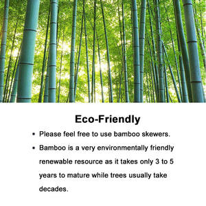 Pinchos para carne, barbacoa, aperitivos de bambú, parrilla al por mayor, herramientas desechables asadas de malvavisco - Product Image 5