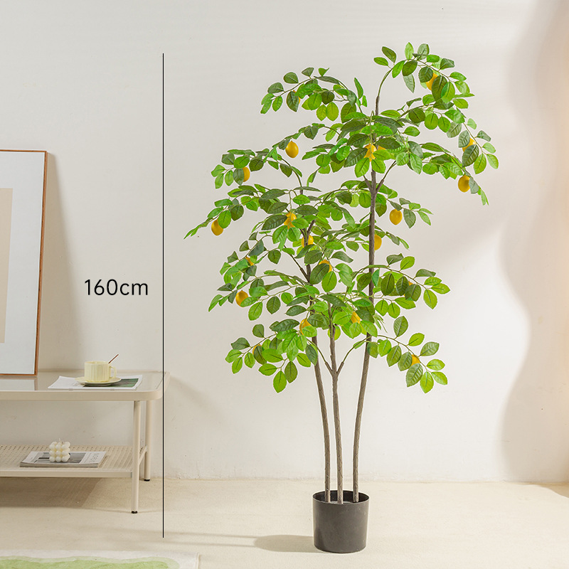 160cm