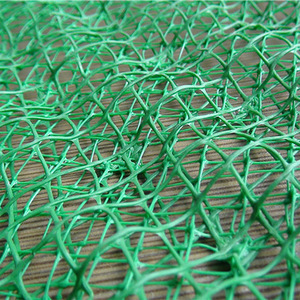 Tùy chỉnh ba chiều HDPE thảm thực vật Net cho ngoài trời dốc xanh bảo vệ đất và đào đắp hệ thống thoát nước - Product Image 1