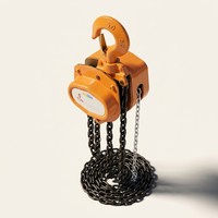 Ensemble de poulies à chaîne manuelle de 2 tonnes pour la construction et le levage