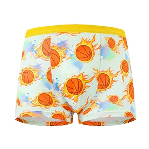 Nouveaux caleçons pour garçons en soie de lait, confortables et respirants, en polyester, motif dessin animé, pour enfants plus âgés et bébés garçons - Product Image 5