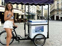 Tricycle mobile solaire portable pour la vente de glaces avec batterie, congélateur à coffre profond, chariot à glaces, vente de sucettes glacées, de bière