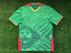 Ensemble de maillots de <span class=keywords><strong>football</strong></span> Maillots de <span class=keywords><strong>football</strong></span> à séchage rapide Adultes <span class=keywords><strong>Cameroun</strong></span> Home KIT Maillot de <span class=keywords><strong>football</strong></span> camerounais personnalisé - Product Image 2