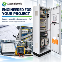 Panneau de commande de démarreur de moteur électrique clé en main avec double démarreur progressif, programmation PLC HMI, câblage et tests en usine