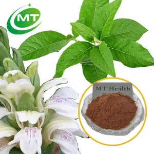 Iso Fabriek Natuurlijke Vasaka Leaf Extract Poeder Adhatoda Vasica Extract