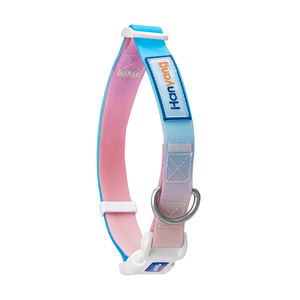 <span class=keywords><strong>Collar</strong></span> y correa de PVC para perro, impermeable, de silicona TPU, arcoíris, personalizado, venta al por mayor - Product Image 3