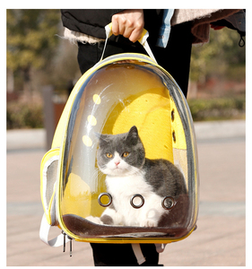 Xách Tay Và Thoáng Khí Mèo Và Con Chó Nhỏ Vật Nuôi Ba Lô 2025 Tàu Sân Bay Mèo Túi Cho Du Lịch Ngoài Trời - Product Image 6
