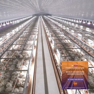 Nouvelle cage automatique pour poulets pondeuses de <span class=keywords><strong>type</strong></span> <span class=keywords><strong>A</strong></span>, en acier galvanisé à chaud argenté, durée de vie supérieure à 18 ans pour l'élevage avicole - Product Image 1