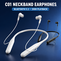 Auricolari In-Ear con Fascia da Collo C01, 800mAh, 200 Ore di Riproduzione, 365 Giorni di Standby, Bluetooth 5.3 a Bassa Latenza, Riduzione del Rumore ENC, IPX3