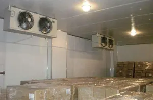 Mushroom Growing Cold Room Freezer Cold Room Equipment Cold Room Chambre Froide