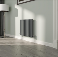 Radiateur ovale horizontal gris anthracite, design moderne, décoratif, luxueux