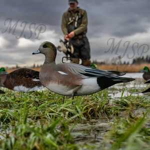 Stampi Anatra Fischione a Sagoma Riciclabili Ingrosso Fabbrica Stampo Leggero Antigraffio Realistico Per Caccia - Product Image 4