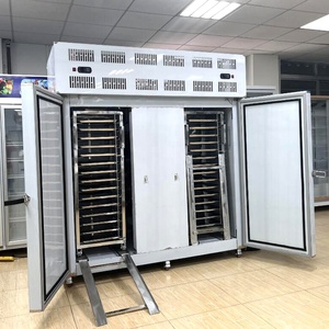 Máquina de Enfriamiento Rápido para la Industria de Procesamiento de Alimentos, Congelador de Alimentos Preparados - Product Image 1