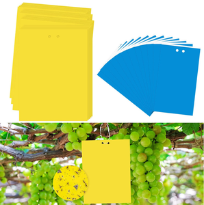 High - Tack Vegetable <span class=keywords><strong>Patch</strong></span> Insekten fallen: Halten Sie Ihren Gemüsegarten mit Leichtigkeit schädlings frei - Product Image 2