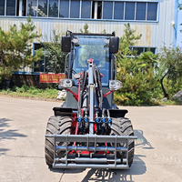 Mini Caricatore a Ruote Taian Farm con Capacità di Carico Nominale di 850kg, Modello DY35 dal Design Compatto, Caricatore Frontale in Vendita