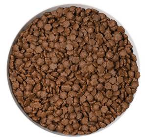 Vente directe d'usine, formules personnalisées de haute qualité, croquettes sèches pour chatons et chats adultes - Product Image 1