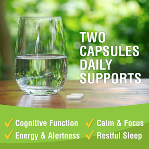 Complément de magnésium L-thréonate avec étiquette personnalisée, favorise la qualité du sommeil, la santé du cerveau, magnésium L-thréonate, 60 capsules végétales - Product Image 3