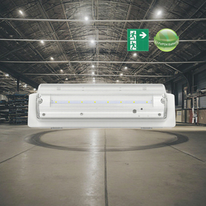 Trung Sơn ngoài trời IP65 có thể sạc lại <span class=keywords><strong>LED</strong></span> khẩn cấp vách ngăn Li-FePO4 pin dự phòng 3 giờ 8 đèn đầu trắng cho - Product Image 6