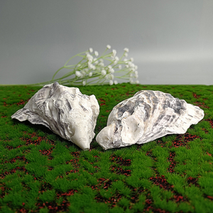Conchas <span class=keywords><strong>de</strong></span> Ostra Secas Naturales, Conchas Marinas Vacías <span class=keywords><strong>de</strong></span> Ostra <span class=keywords><strong>de</strong></span> China para Exportación - Product Image 6