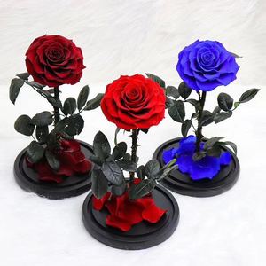 <span class=keywords><strong>Prix</strong></span> usine Roses éternelles vraies Roses immortelles en verre 15*30cm Roses préservées populaires dans un dôme en verre comprenant des boîtes-cadeaux - Product Image 1