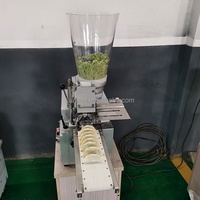 Presse à pâtes chinoise multifonctionnelle en acier inoxydable pour ravioli et empanada