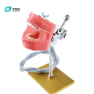 <strong>Dental</strong> <strong>Simulation</strong> Simple Head <strong>Unit</strong> ,<strong>dental</strong> Phantom Head - Product Image 4