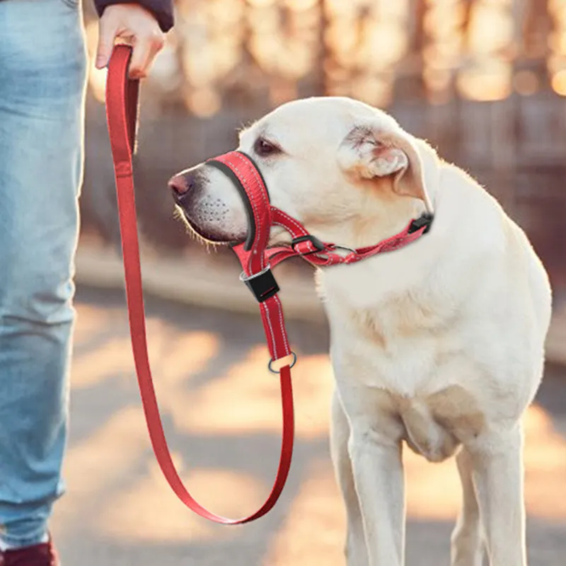 Eğitim köpek Muzzled tasma özel açık yürüyüş Pet ağız maskesi tasmalar