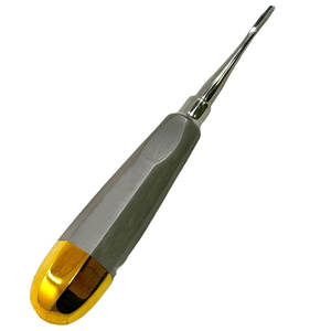 Elevador de Punta de Raíz Manual de Acero Inoxidable Premium de Alta Calidad para Extracción Dental con Mango Recto Hueco Plateado 3mm - Product Image 1