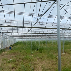 Hoja <span class=keywords><strong>de</strong></span> plástico usada comercial <span class=keywords><strong>Casa</strong></span> verde <span class=keywords><strong>de</strong></span> amplio alcance para el cultivo <span class=keywords><strong>de</strong></span> flores <span class=keywords><strong>de</strong></span> orquídeas rosas - Product Image 3