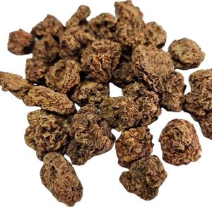 الأكثر مبيعًا القط تخفيف الضغط الأكتينيديا بوليغاما الفواكه ماتابي الحشرات الجال الفاكهة - Product Image 1