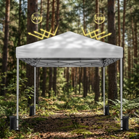 Tente publicitaire pliante 10x10 pieds avec structure en acier et logo personnalisé pour les expositions, les événements en plein air et les présentations sportives