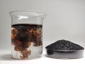 Acido Umico in Polvere 100% Idrosolubile, Potente Condizionatore del Suolo a Rapida Azione per Tutte le Colture - Product Image 1