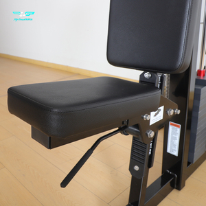 Equipo de Gimnasio Comercial de Alta Calidad: Prensa de Pecho y Pectorales con Carga de Placas, Equipo para Deltoides Posteriores para Fabricantes de Gimnasios - Product Image 4