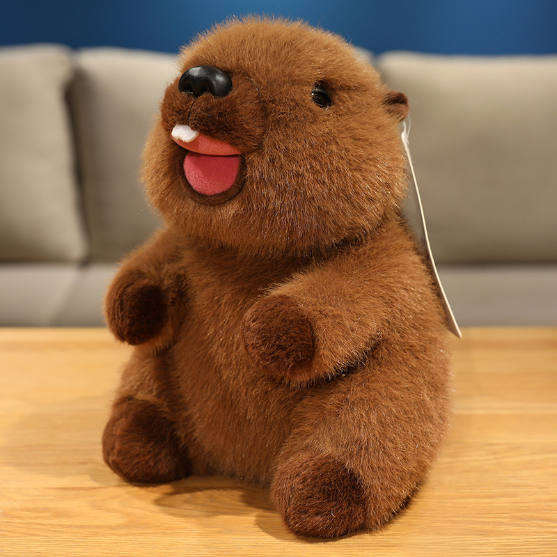 Roar-brown