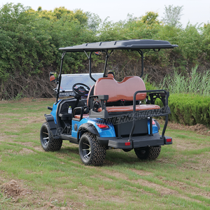 Carrito de Golf Eléctrico de Acero de 4 Plazas, 72V, Certificado por la CEE, 5KW, con Certificación GCC, Buggy de Golf de Lujo Hecho en China - Product Image 5