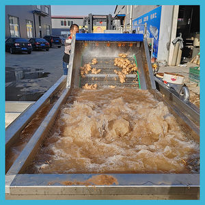 고압 살포 고기/생선/해산물/샐러드/망고 타로 와셔 스프레이 세척/감자 세척 공장 한방 클리너 - Product Image 3