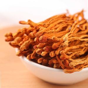 Tiens-extracto De Seta en polvo de tianshi, extracto chino de tiens, cordyceps, sinensis, aire frío - Product Image 5