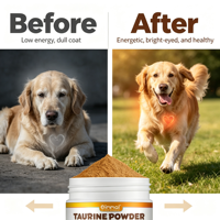 Poudre de Taurine pour Chiens Marque Blanche OEM – Absorption Rapide, Soutien Immunitaire, Compléments Alimentaires à Ingrédients Limités pour Tous les Chiens