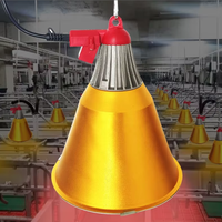 Kit de Lampe Chauffante Agricole 250W en Gros avec Support et Abat-jour - Lumière Chauffante Complète Haute Puissance pour Éleveuse de Porcelets