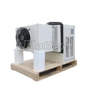 High Quality Fast Delivery Smart Packaged Unit Refrigeration Condensing Unit for Cold Room