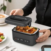 Boîte à lunch chauffante et isotherme pour employés de bureau, portable, sans eau, compatible voiture, électrique, avec doublure intérieure amovible, 1,1-1,2 L