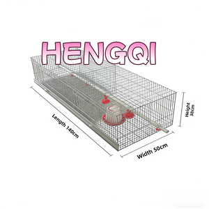 Nouvelle cage à poulets de type A avec système d'alimentation et d'abreuvement automatiques, en acier galvanisé, garantie de 2 ans, vente directe d'usine - Product Image 3
