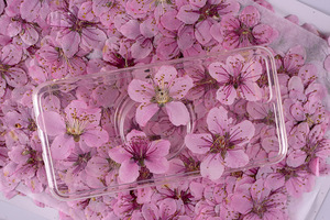 Flores Prensadas Naturales de Melocotón para Scrapbooking, Resina Epoxi, Ecológicas - Product Image 4