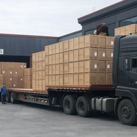 Anneau synchronisateur en acier traité thermiquement WG2210100009, haute précision, anti-corrosion, durable, pour transmission de camion