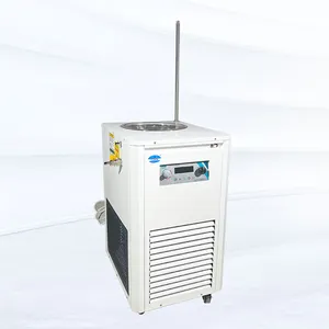 OEM Cold Therapy Ice Bath Chiller Cold Plunge Chiller Ozone Cycle Use Chiller DLSB-5/20 Low Temperature Circulating Pump -20 C